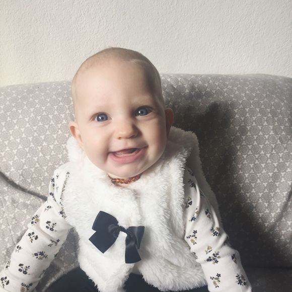 Meet your Posher, Shelby - Picture 1 of 1